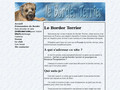 Détails : border terrier