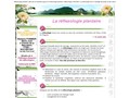 Détails : Reflexologie plantaire